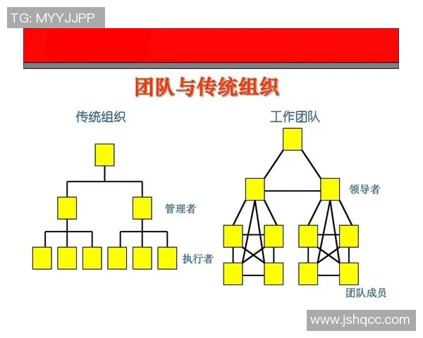 杭州排球队团队协作表现的深入数据分析与探讨